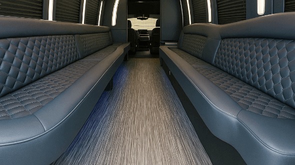 manhattan 20 passenger party bus